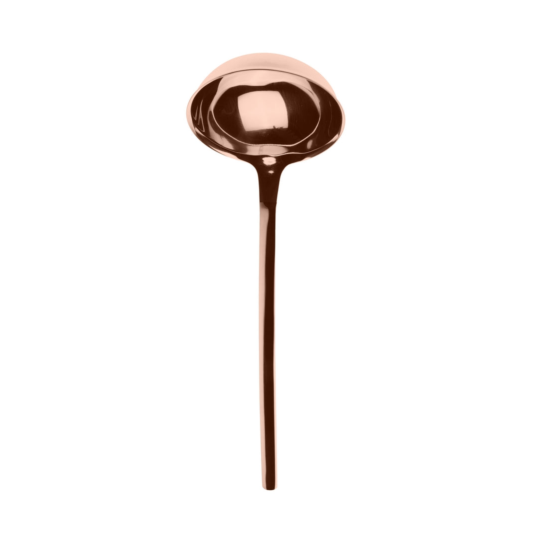 Ladle