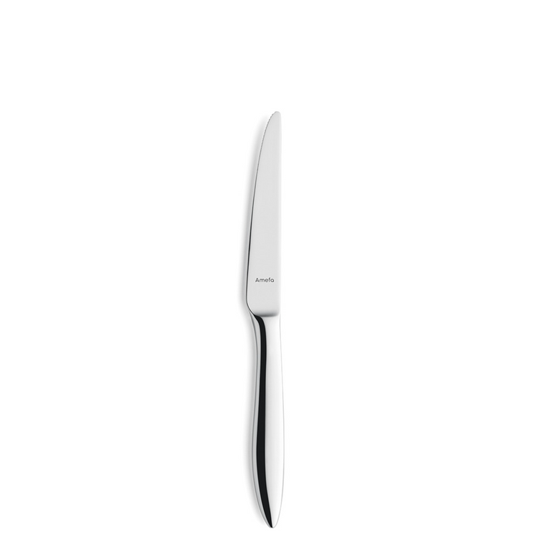 amefa-premiere-dessertmes-9090-tendence-21-cm_