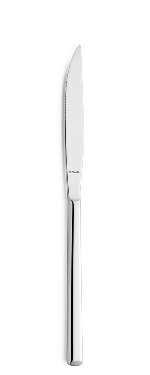 amefa-premiere-steakmes-1170-metropole-22-5-cm-18-10-13-0-1-stuk_